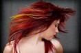 /album/extensions-de-cheveux/images-9-jpg2/